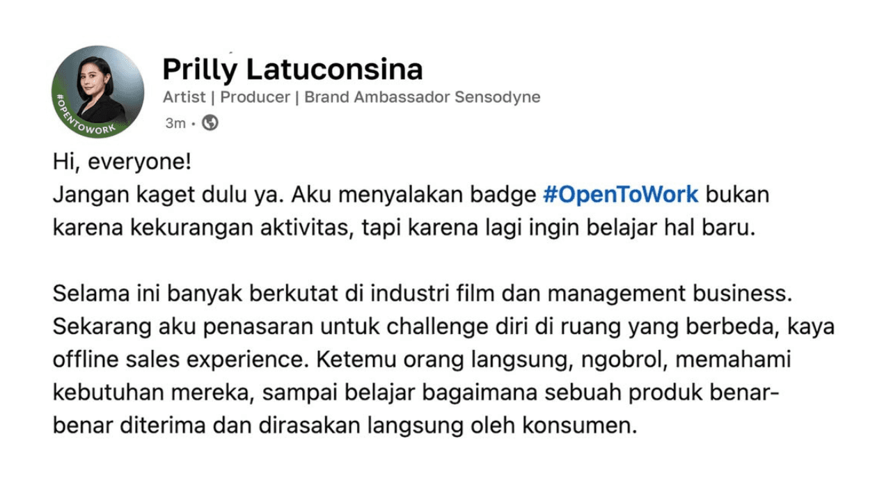 LinkedIn Prilly